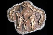 Finding Fossils From Space