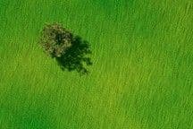 Land Cover Classification
