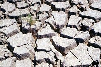 Dry Times in North America