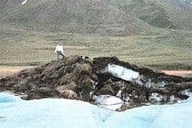 Frozen Soils and the Climate System