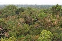 Introduction to the Large-scale Biosphere-Atmosphere Experiment in Amazonia (LBA)