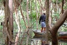 Escape from the Amazon