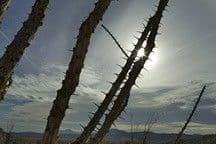 Under a Variable Sun