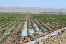Just add water: A modern agricultural revolution in the Fertile Crescent