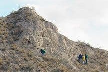 Paleoclimatology: Written in the Earth