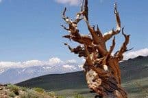 Paleoclimatology: Explaining the Evidence