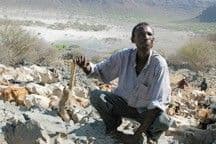 Defining Desertification