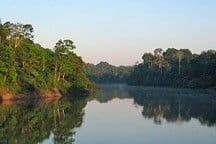 The Amazon’s Seasonal Secret