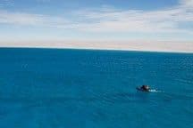 Greenland’s Ice Island Alarm