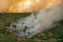 Amazon Fires on the Rise