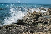 Ocean and Climate