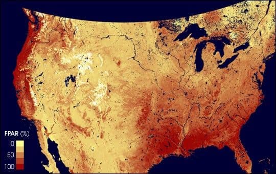 MODIS Measures Fraction of Sunlight Absorbed by Plants