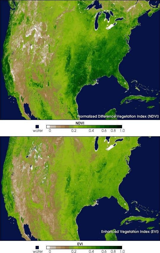Spring Vegetation in North America