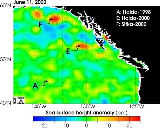 Eddies in the Gulf of Alaska
