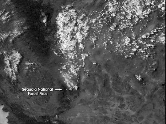Animation of Sequoia Forest Fire