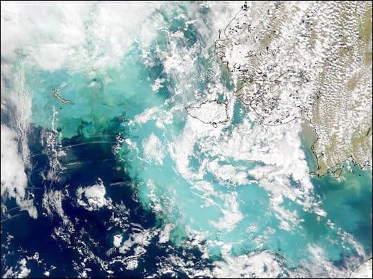 The Bering Sea