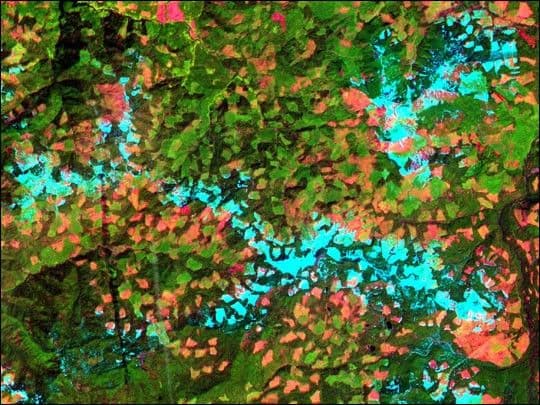 Clearcuts in Oregon