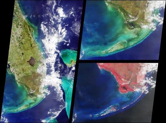 MISR Views Southern Florida