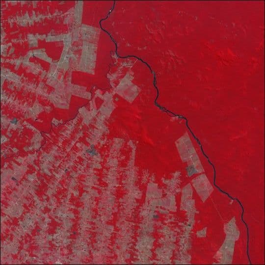 Deforestation in Brazil