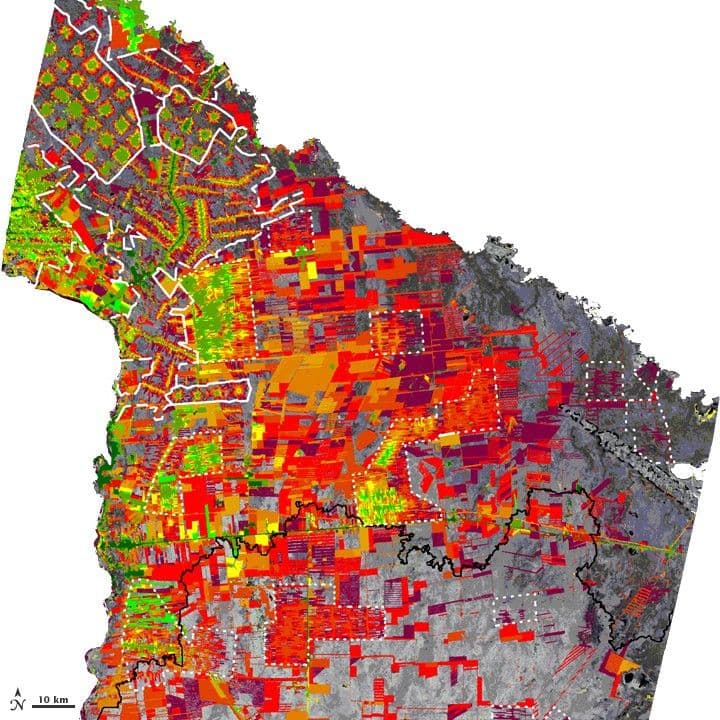 Deforestation in Tierras Bajas, Bolivia