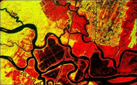 Altamaha River Delta, Georgia Sea Islands