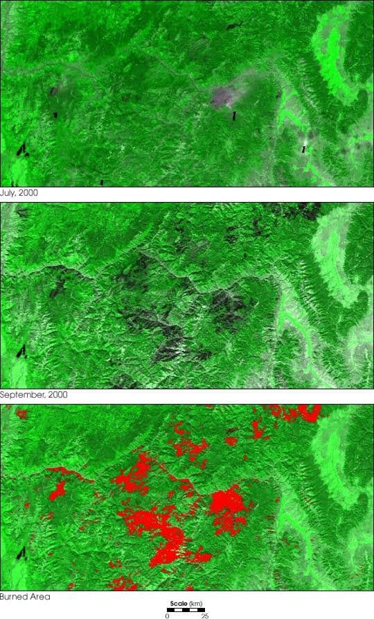 Land Cover Change from Fire