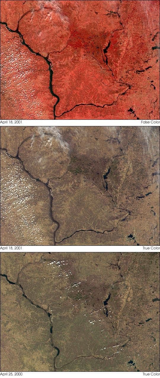 Spring Floods on the Mississippi