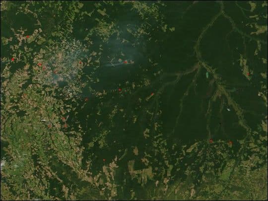 Fires and Deforestation near the Xingu River