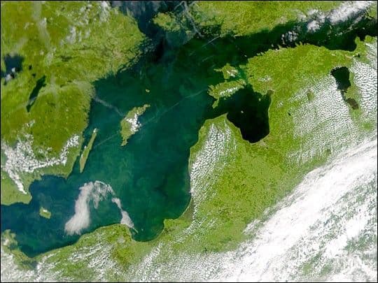Phytoplankton bloom in the Baltic Sea