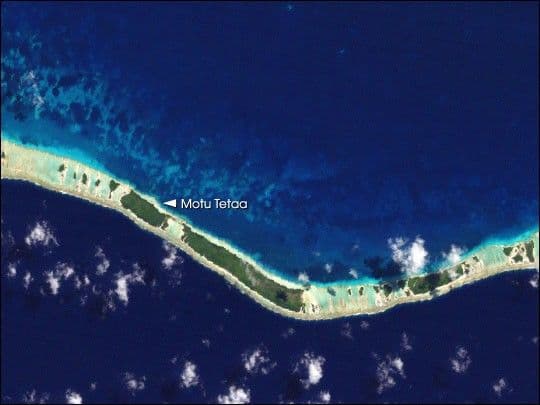 Coral Bleaching in French Polynesia