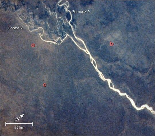 Elephant damage to vegetation in Botswana