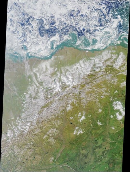 Summer in the Arctic National Wildlife Refuge