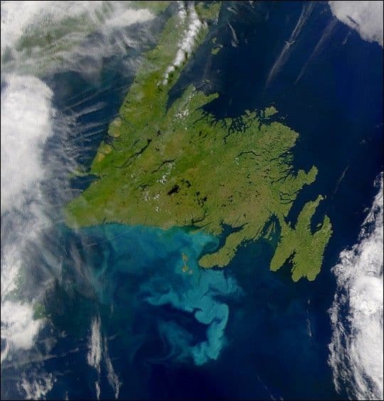 Bright Water Off Newfoundland