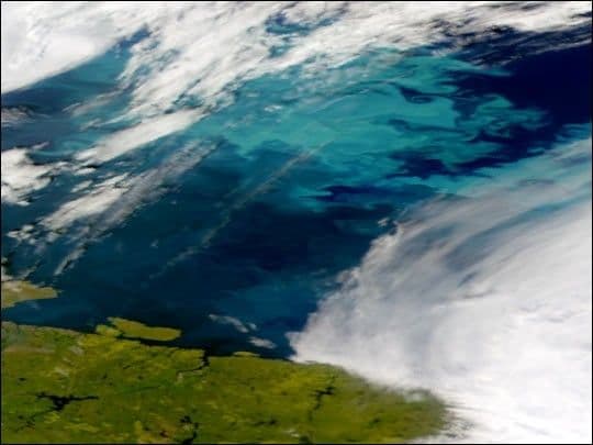 Coccolithophores in the Barents Sea