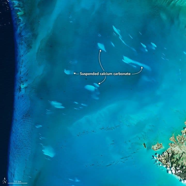 Mysteries Remain About Bahama Whiting Events