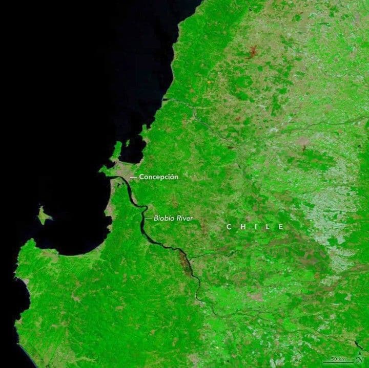 Fires Scar the Chilean Landscape