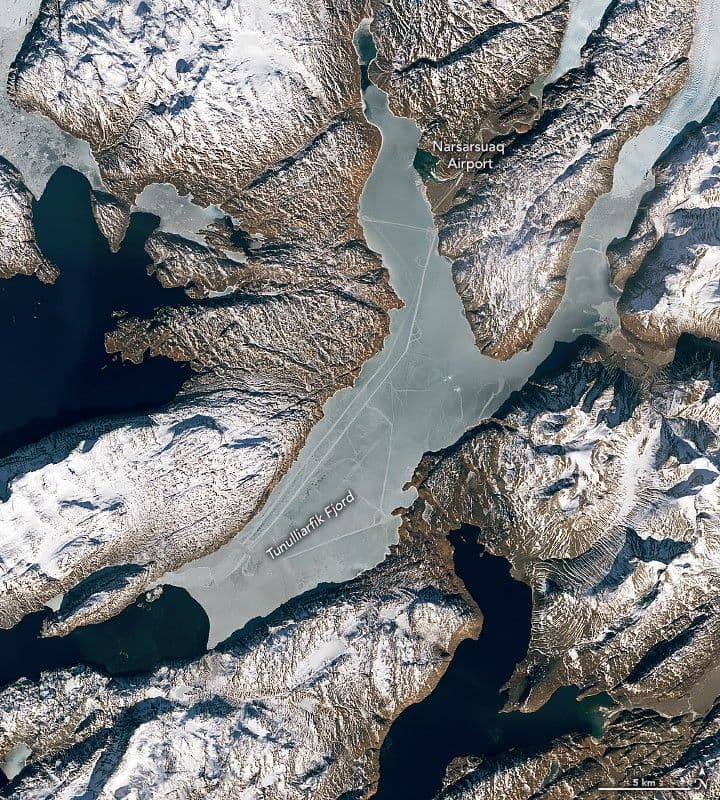 Curious Tracks Criss-Cross an Icy Fjord