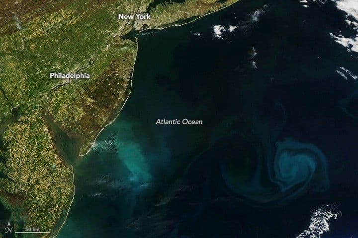 Bloomin’ Atlantic