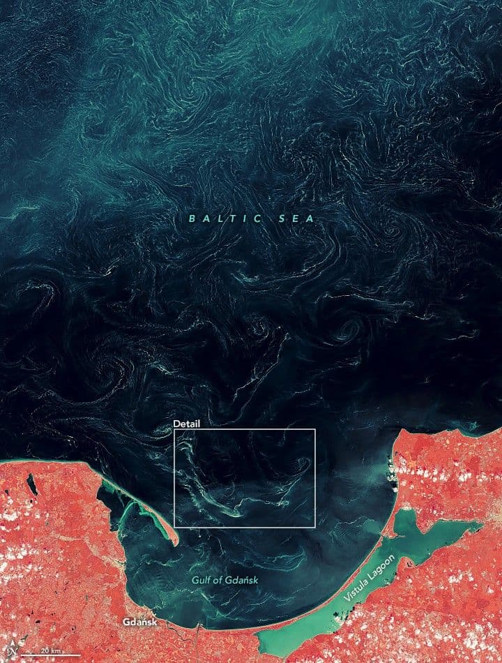 Sea of Pollen Visible From Space