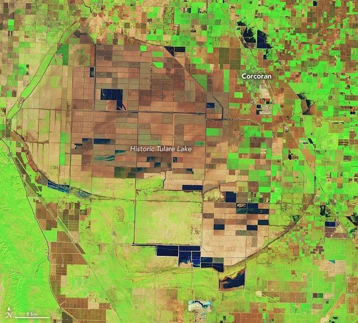 Tulare Lake Grows