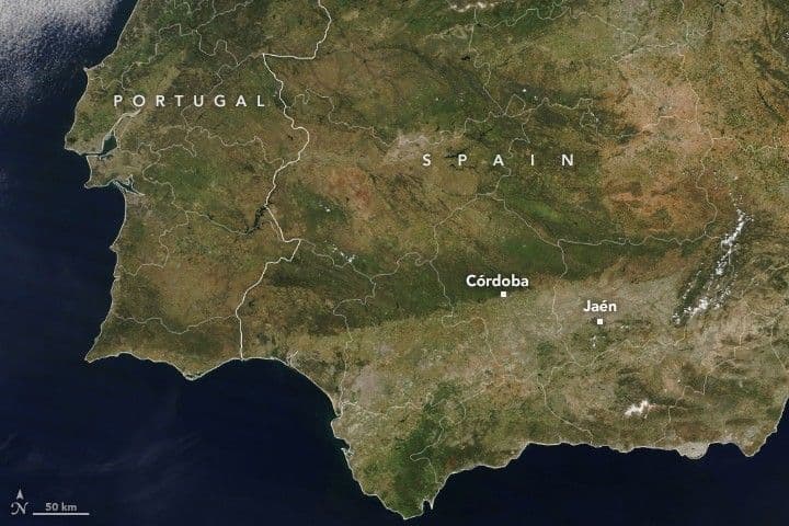 Spain Browned by Drought
