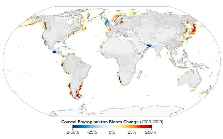 Coastal Phytoplankton on the Rise
