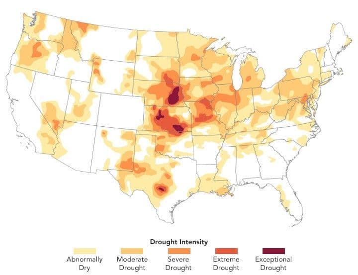 A Rough Harvest for Kansas Wheat