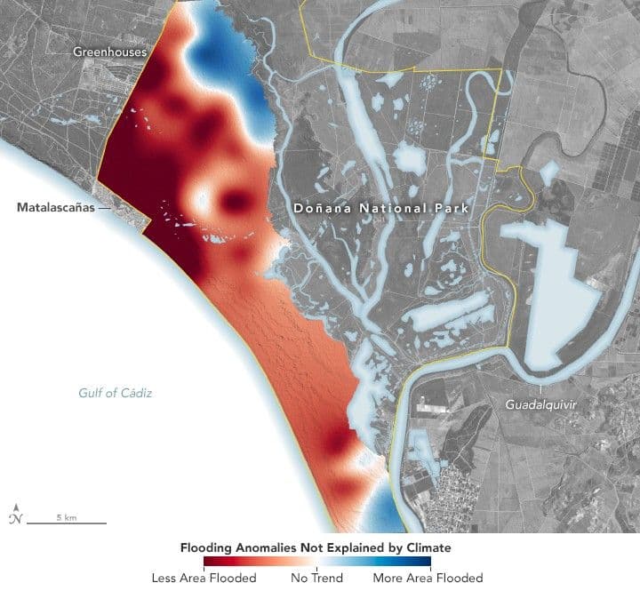Water Woes in Doñana National Park