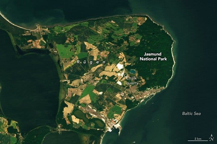 The Ancient Forests and White Cliffs of Jasmund