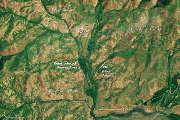 Idaho’s Emerald Refuge