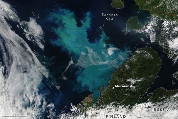 A Bloom in a Changing Barents Sea