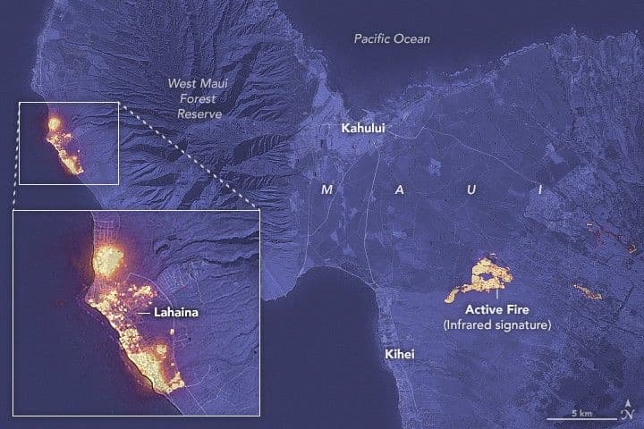 Devastation in Maui