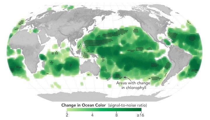 Climate Change Lends New Color to the Ocean
