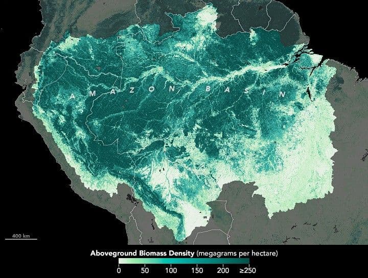 Indigenous Communities Protect the Amazon